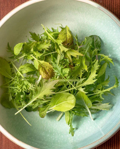 West Coast Seeds - Lettuce