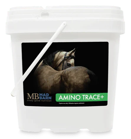 Mad Barn - Amino Trace+ - 5KG