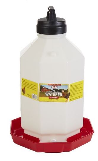 Little Giant - Poultry & Gamebird Fountain & Replacement Parts