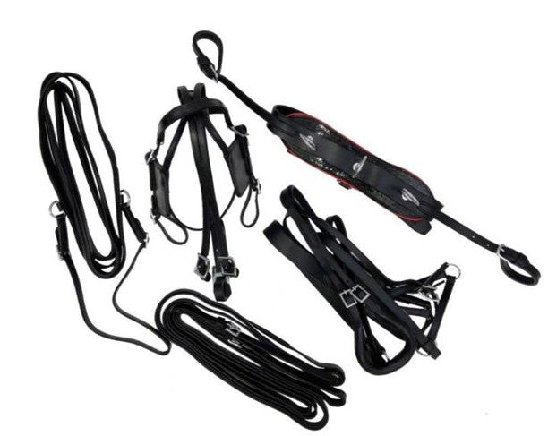 Miniature Horse Harness - Leather - Black (Special Order)