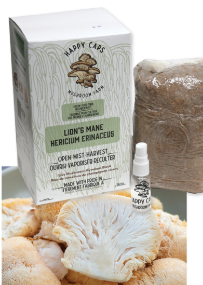 Happy Caps Mushroom Kits