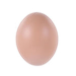 Brown Plastic Fake Eggs - 2 pk