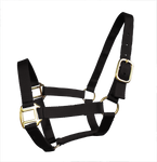 True North Economy Nylon Horse Halter - Cob