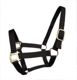 True North Economy Nylon Horse Halter - Cob