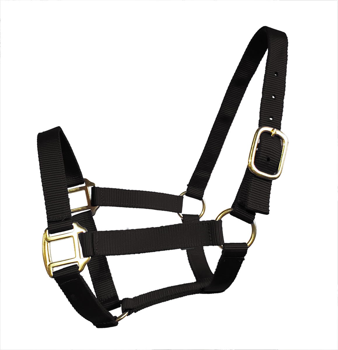 True North - Economy Nylon Horse Halter - Mini