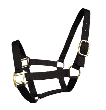 True North - Economy Nylon Horse Halter - Mini