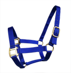 True North Economy Nylon Horse Halter - Cob