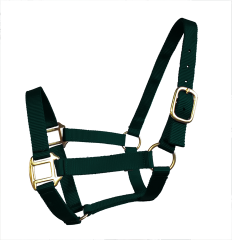 True North Economy Nylon Horse Halter - Cob