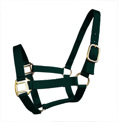 True North - Economy Nylon Horse Halter - Mini