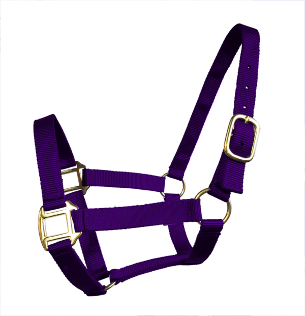 True North - Economy Nylon Horse Halter - Mini