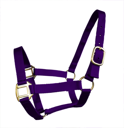 True North - Economy Nylon Horse Halter - Mini