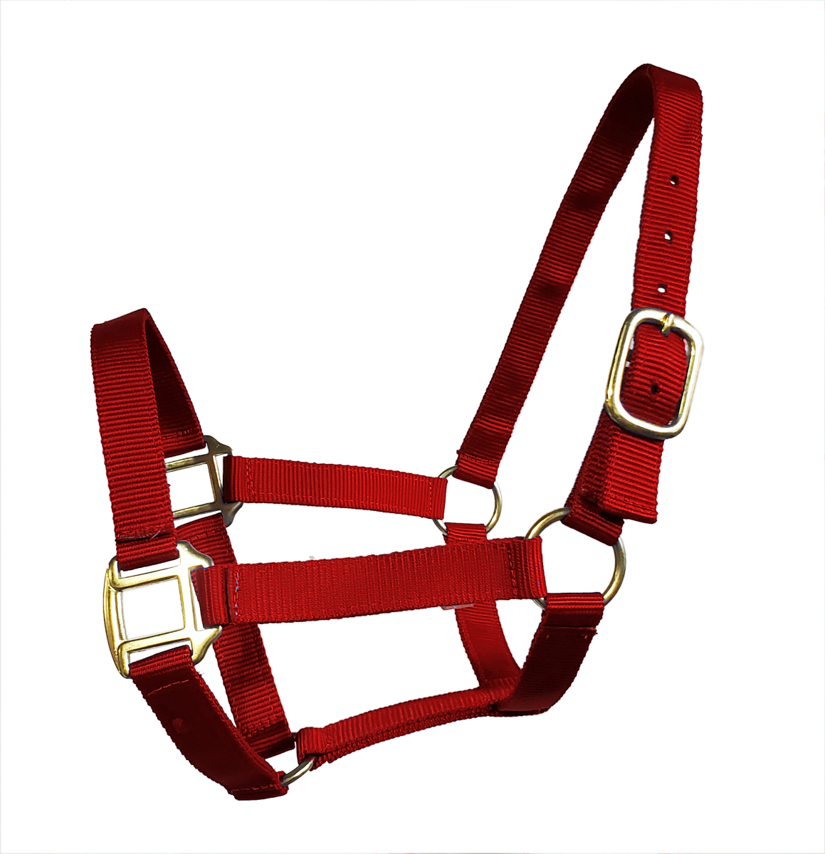 True North - Economy Nylon Horse Halter - Draft