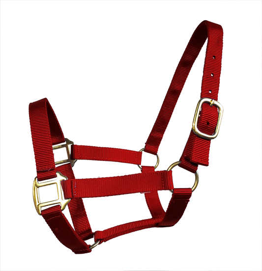 True North - Economy Nylon Horse Halter - Draft