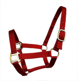 True North Economy Nylon Horse Halter - Cob