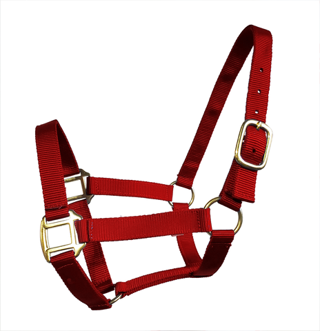 True North- Economy Nylon Horse Halter - Draft