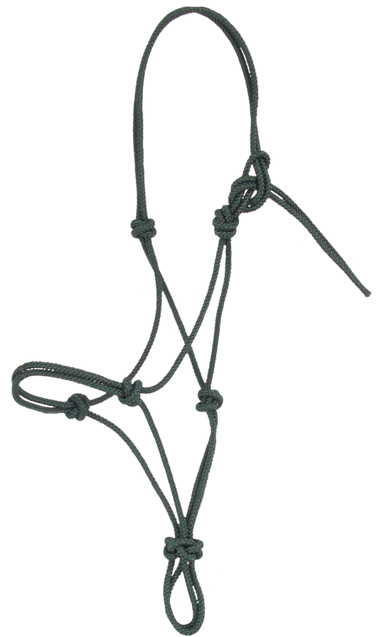 Burwash - Foal - Natural Horse - Rope Halter