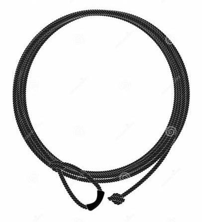 Little Looper Kids Lariat - 5/16” x 20' Medium Nylon Rope