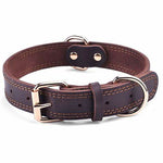 Leather Collar - D-Ring - Double Leather