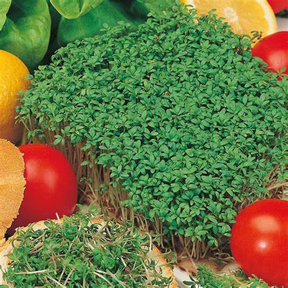 Fothergill's Seeds - Vegetables (1)