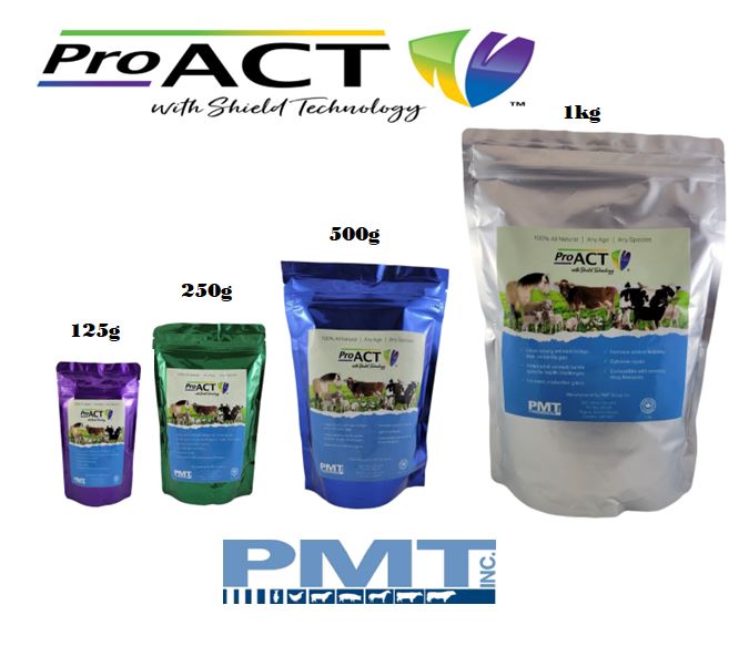 ProAct - All Natural Immunity Booster