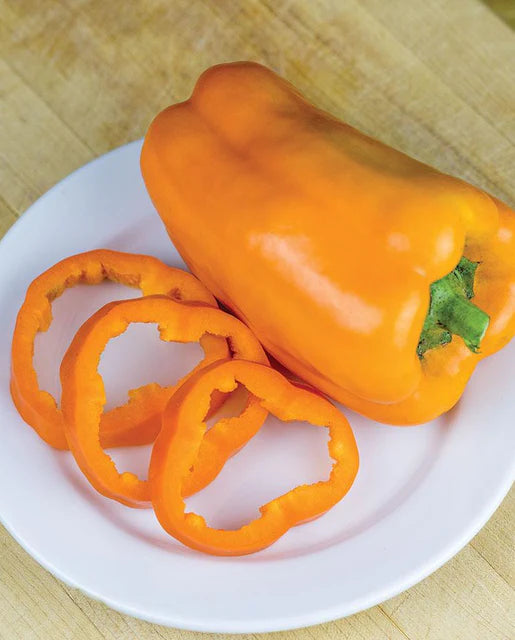 West Coast Seeds - Peppers