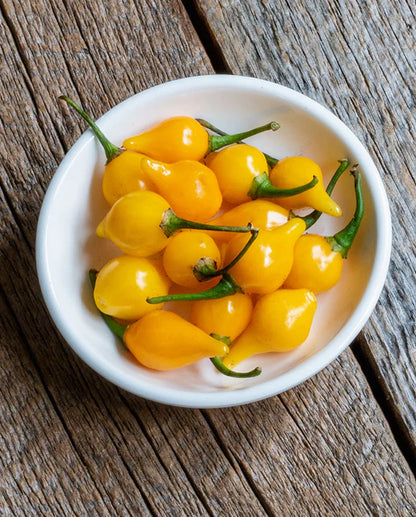 West Coast Seeds - Peppers