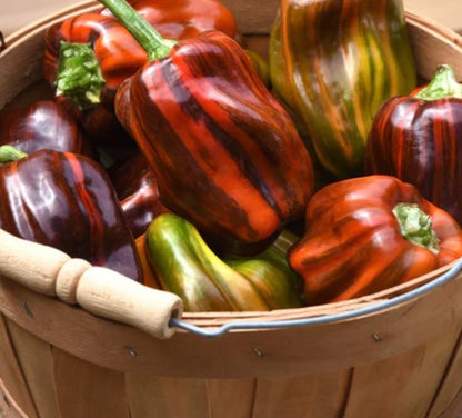 West Coast Seeds - Peppers