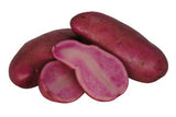 Seed Potatoes - Arriving in April