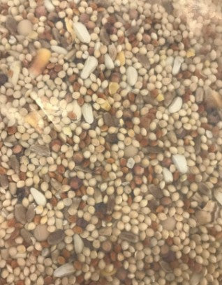 Bird's Choice - Dove Premium Bird Seed - 20kg