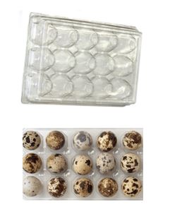 Quail Egg Carton - Plastic - 15 Egg