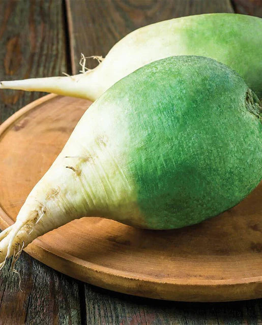 West Coast Seeds - Radish
