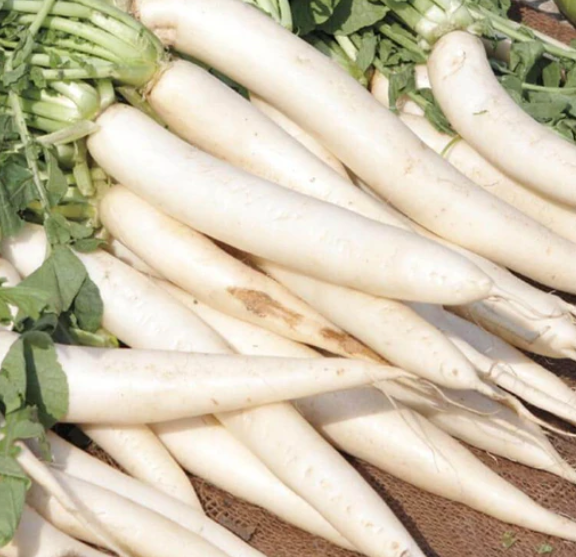 West Coast Seeds - Radish