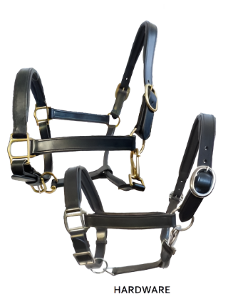 True North - Raised Padded Show Halter - Black Leather