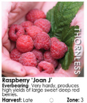 Fruit Pots - Select Varieties - Arriving Beginning of April