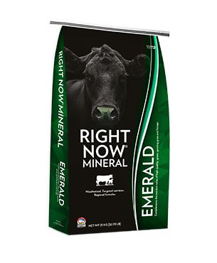 Right Now - Cattle Mineral - Emerald - 25kg