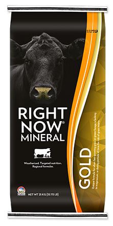 Right Now - Cattle Mineral - Gold - 25kg