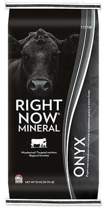 Right Now - Cattle Mineral - Onyx - 25kg