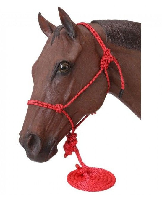 GR - Rope Horse Halter with 10 ft Lead