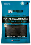 Dental Health Bones