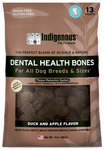Dental Health Bones