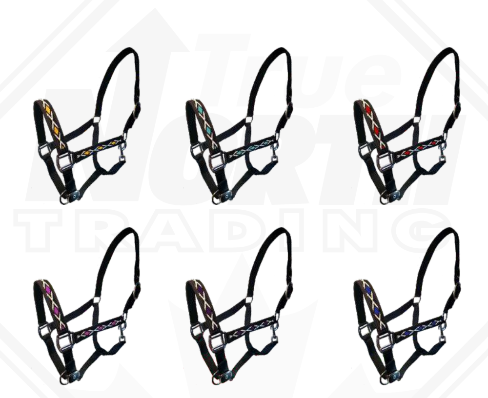 True North - Beaded Nylon Halter with Assorted Beads