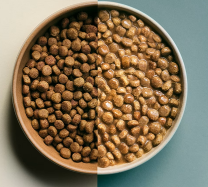 NOW FRESH - Good Gravy Adult W/Grains