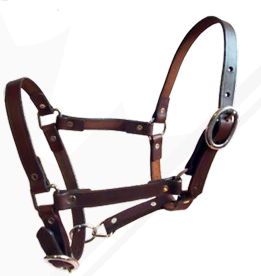 True North - Riveted Foal Halter- Suckling