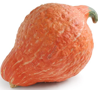 Fresh - Locally Grown - Pumpkin, Squash, Gourds