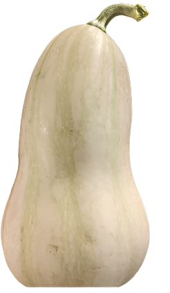 Fresh - Locally Grown - Pumpkin, Squash, Gourds