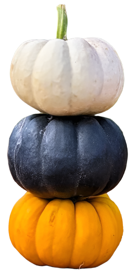 Fresh - Locally Grown - Pumpkin, Squash, Gourds