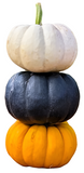 Fresh - Pumpkin - Locally Grown