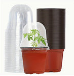 Gardening - Plant Pots - 5 Pack