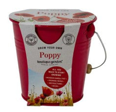 Gardening - Grow Your Own Poppy