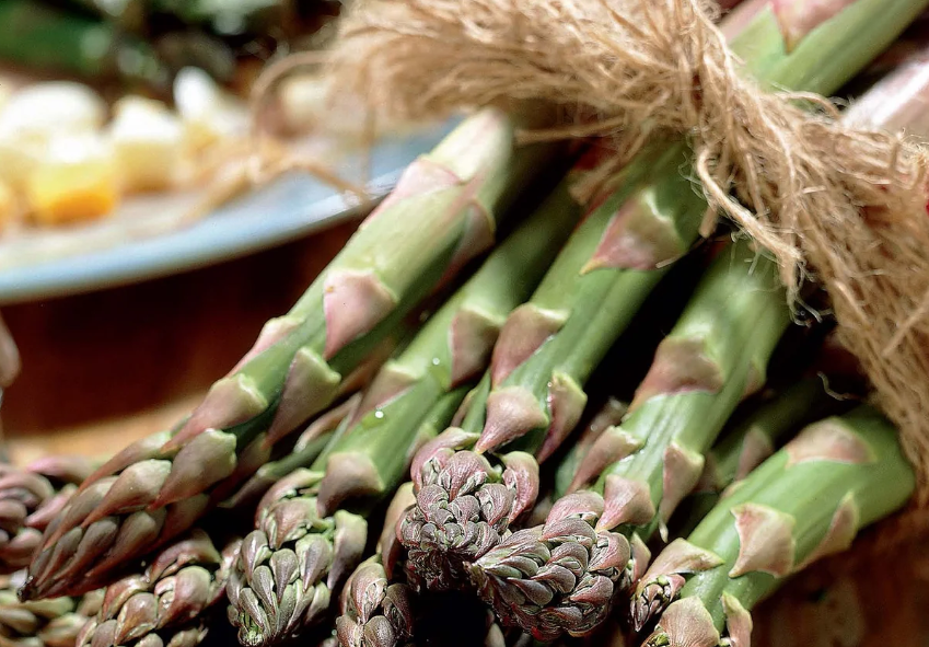 Rizomes - Asparagus